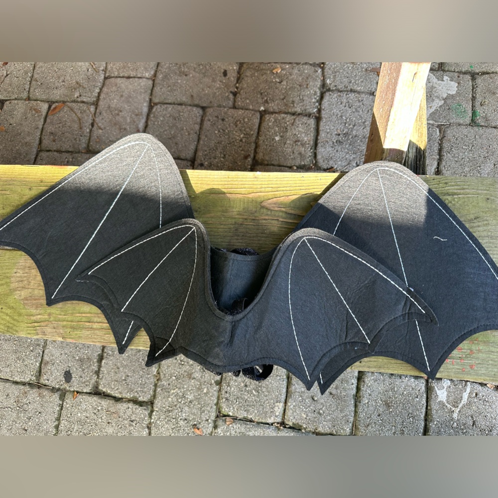 Costume bat wings
